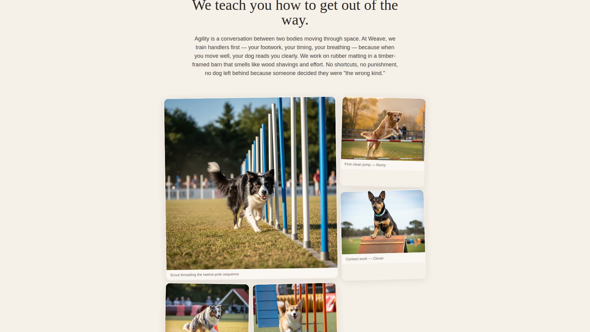 Pet Training & Behavior Appointment Booking Website Template
