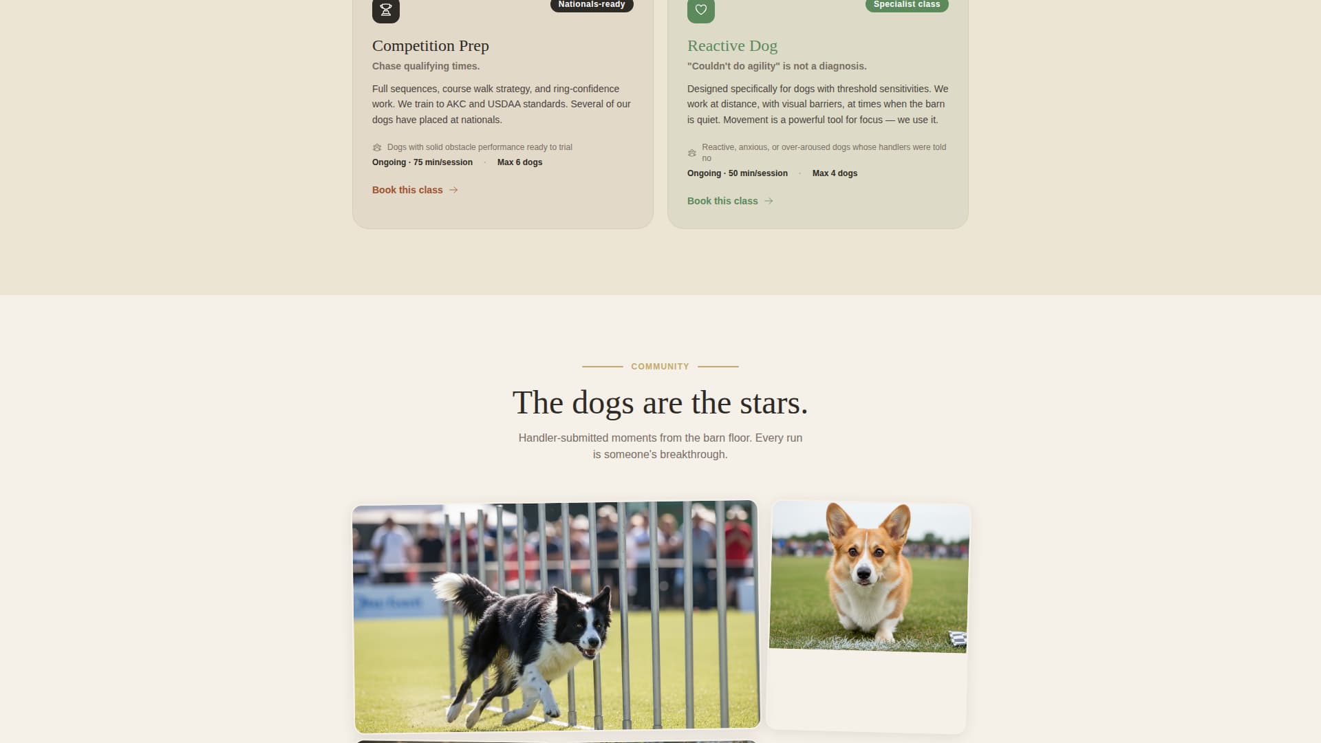 Pet Training & Behavior Appointment Booking Website Template