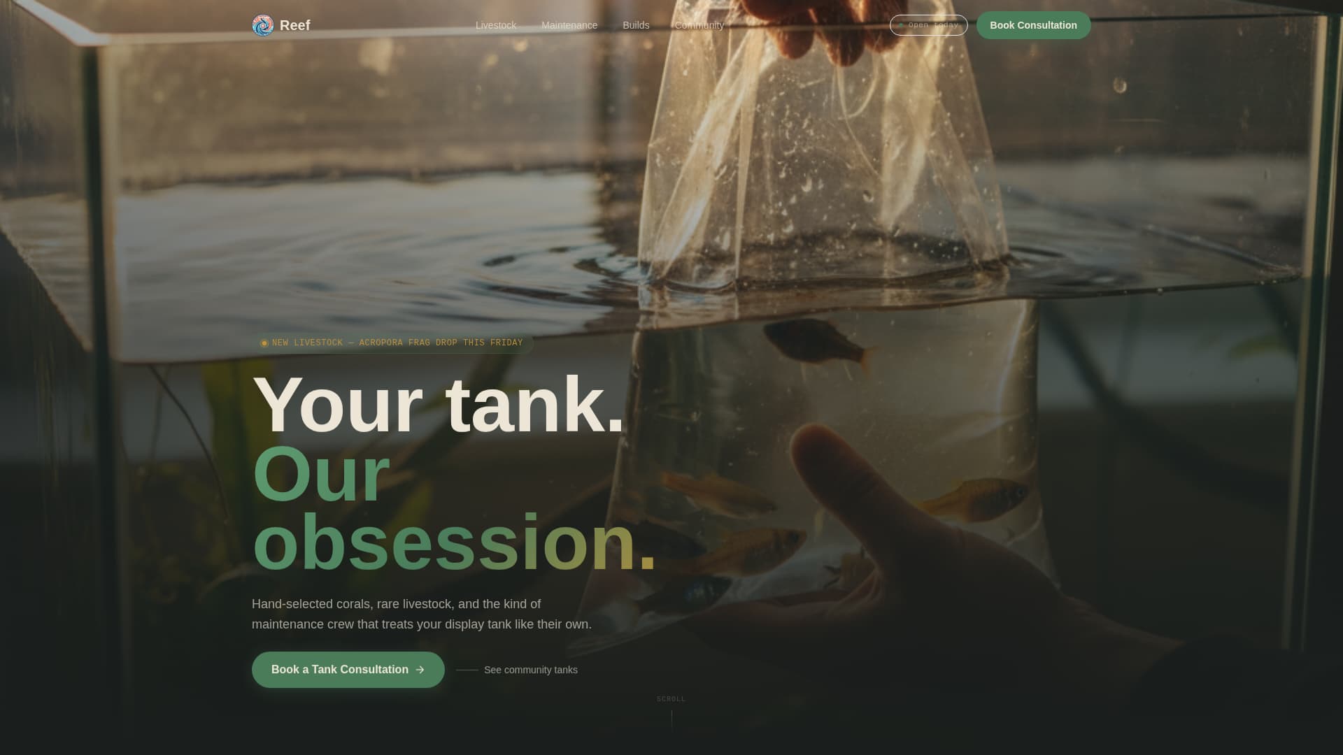 Reef - Captivating Aquarium Landing Page Template