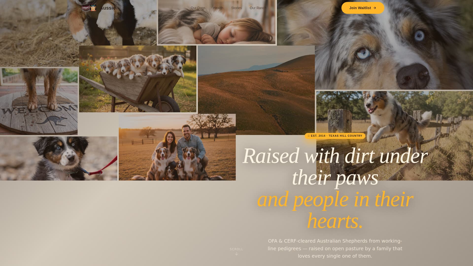 Dog Pre-Launch Website Template