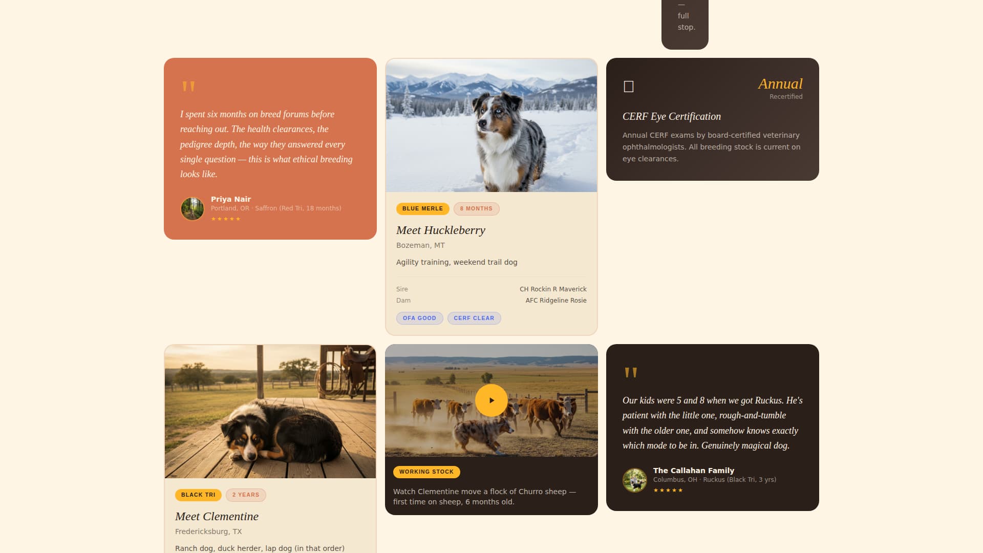 Dog Pre-Launch Website Template