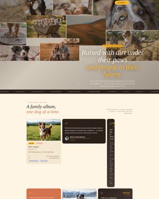Dog Pre-Launch Website Template