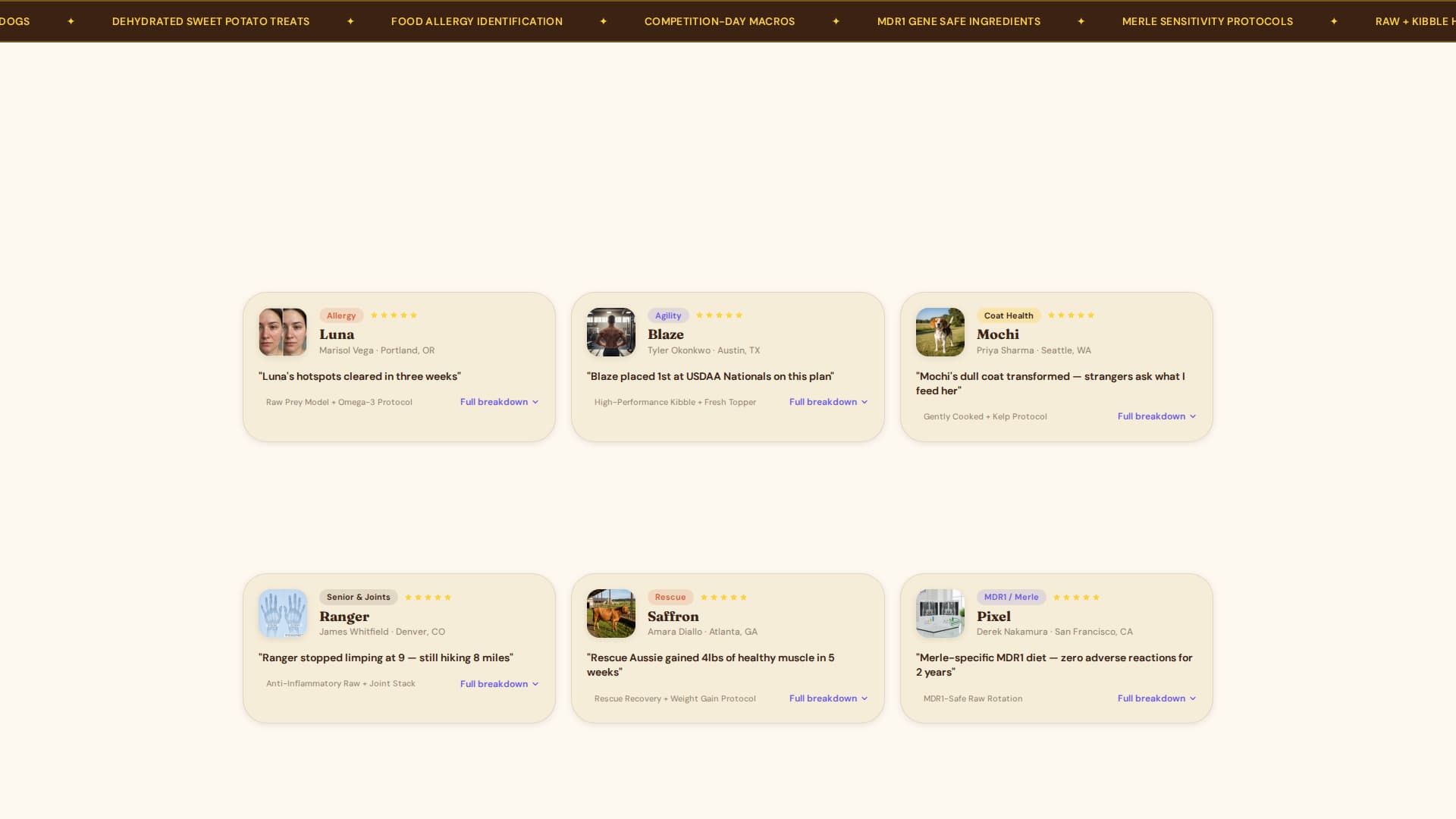 Dog Complete Reviews Website Template
