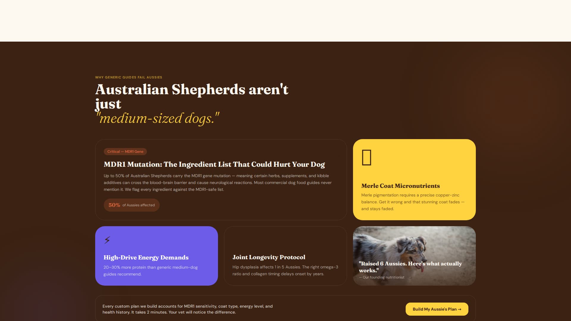 Dog Complete Reviews Website Template