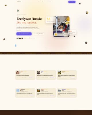 Dog Complete Reviews Website Template