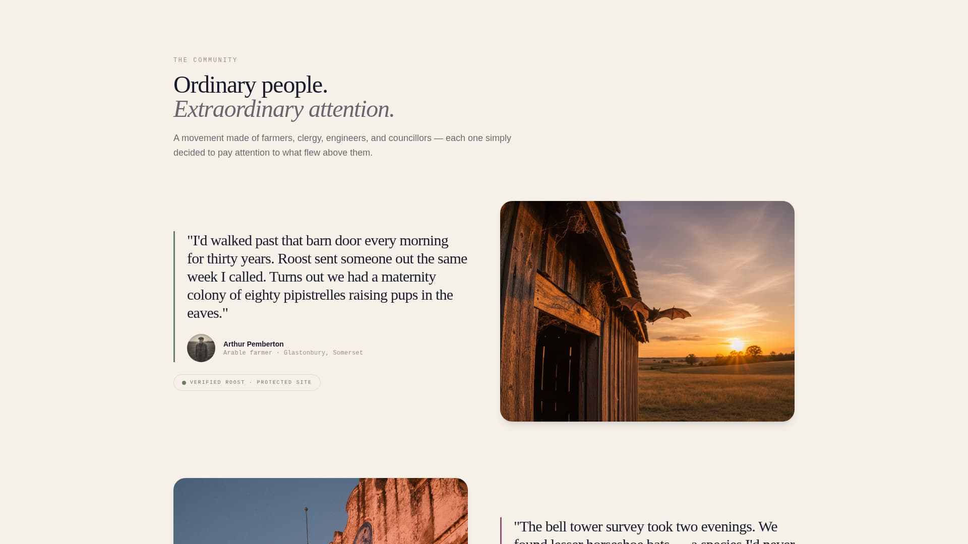 Wildlife & Conservation Reviews & Social Proof Website Template