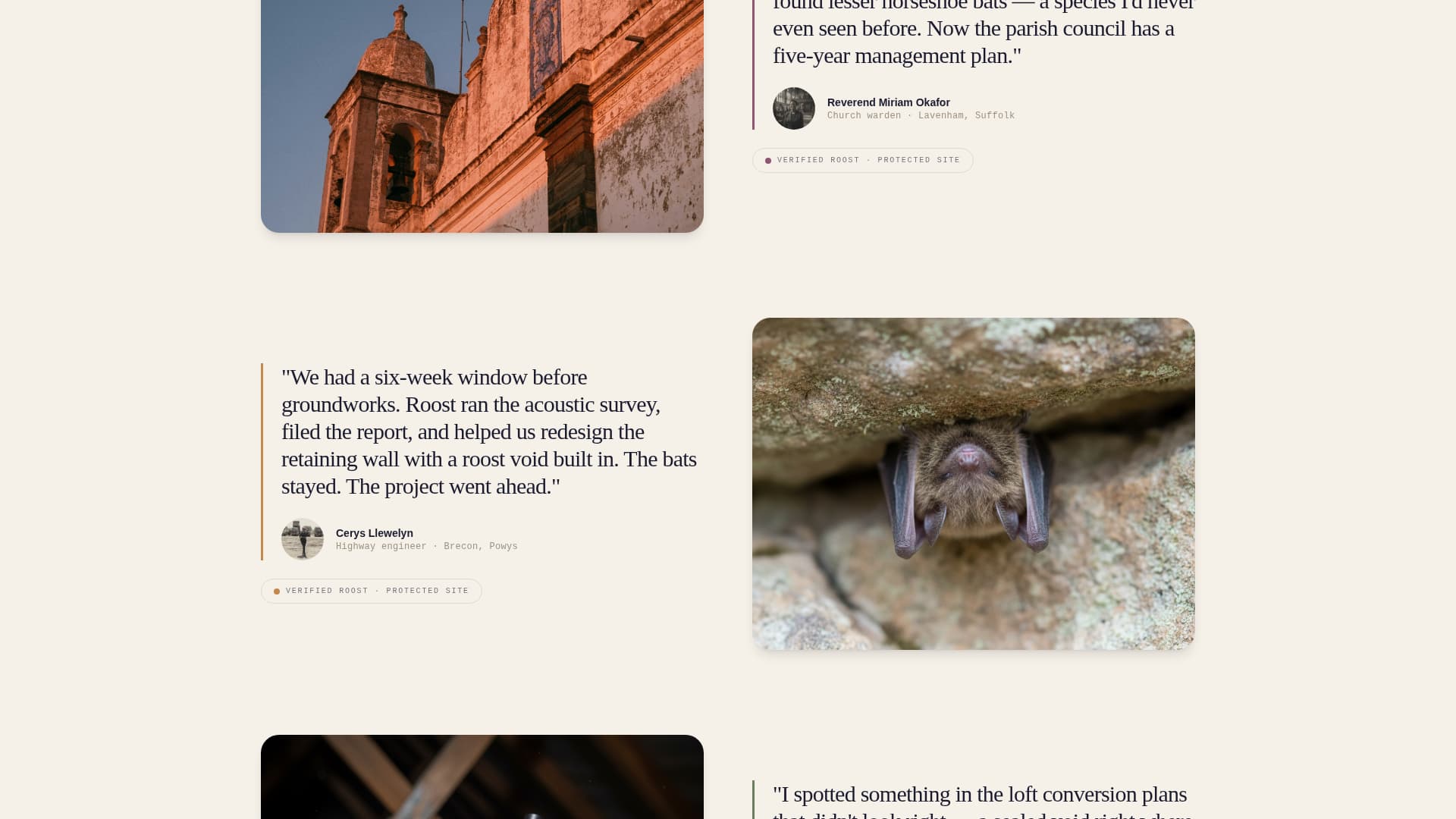 Wildlife & Conservation Reviews & Social Proof Website Template