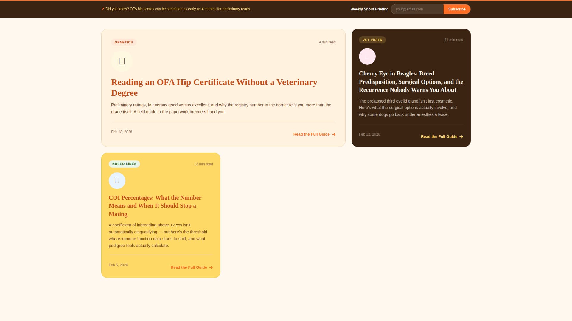 Dog Blog Website Template