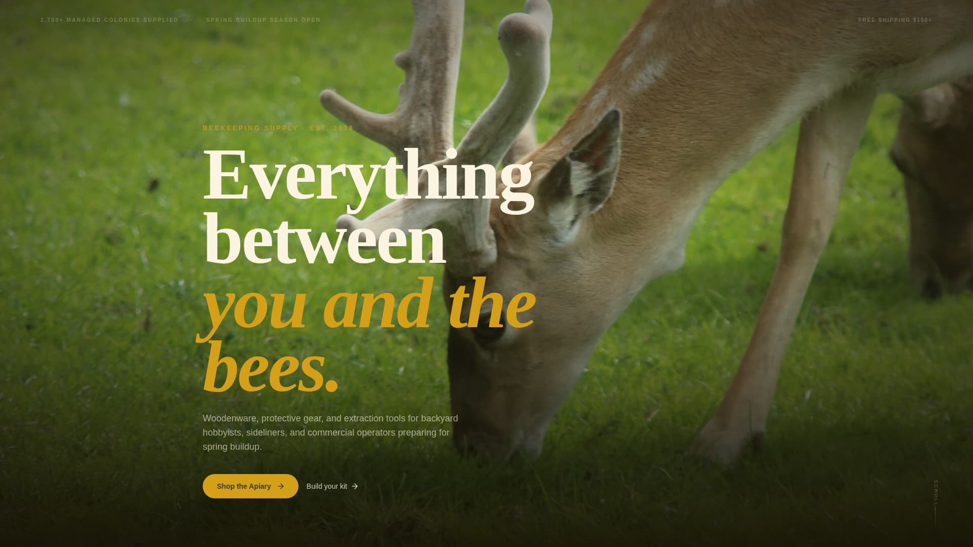 Livestock & Farm Animal Portfolio & Case Study Website Template