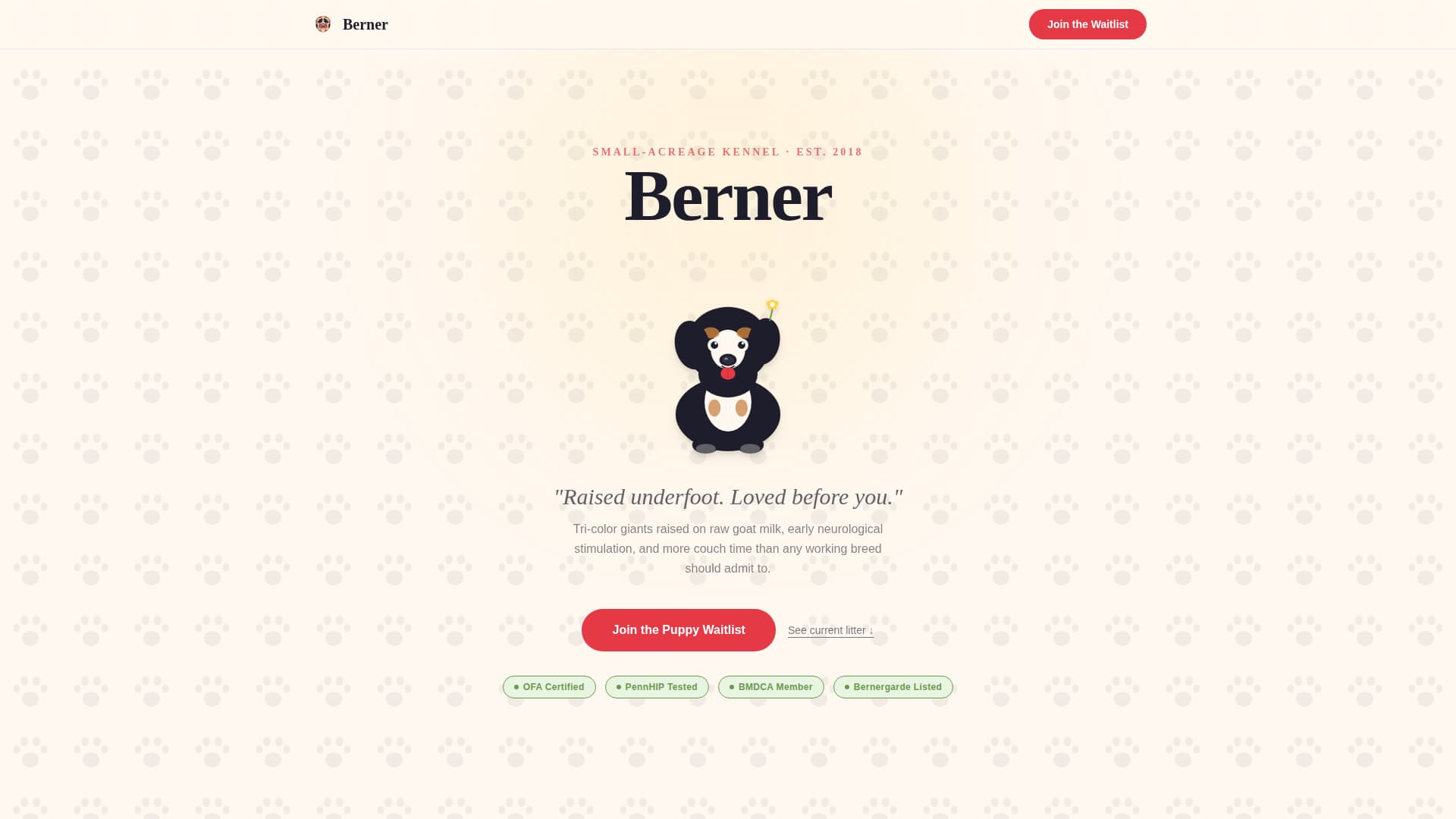 Dog Specialist Pre-Launch Website Template