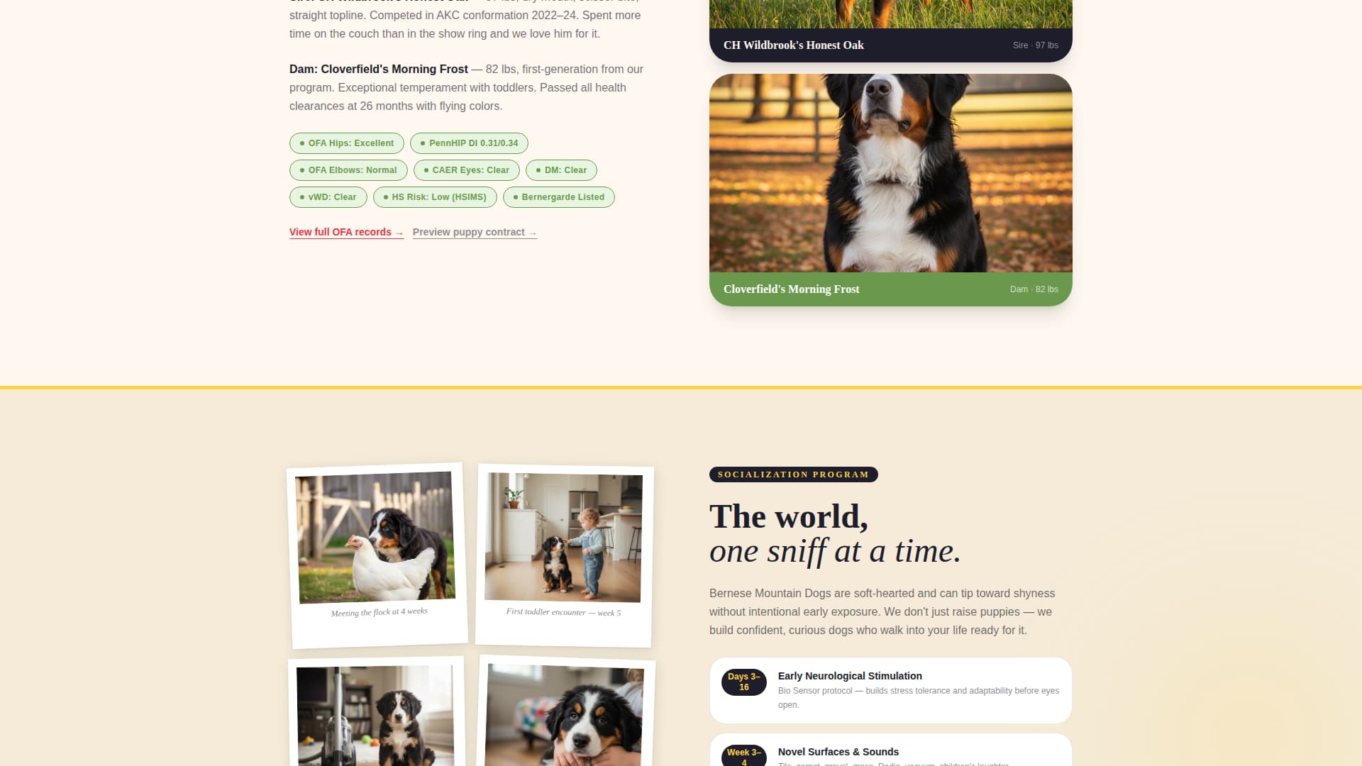Dog Specialist Pre-Launch Website Template