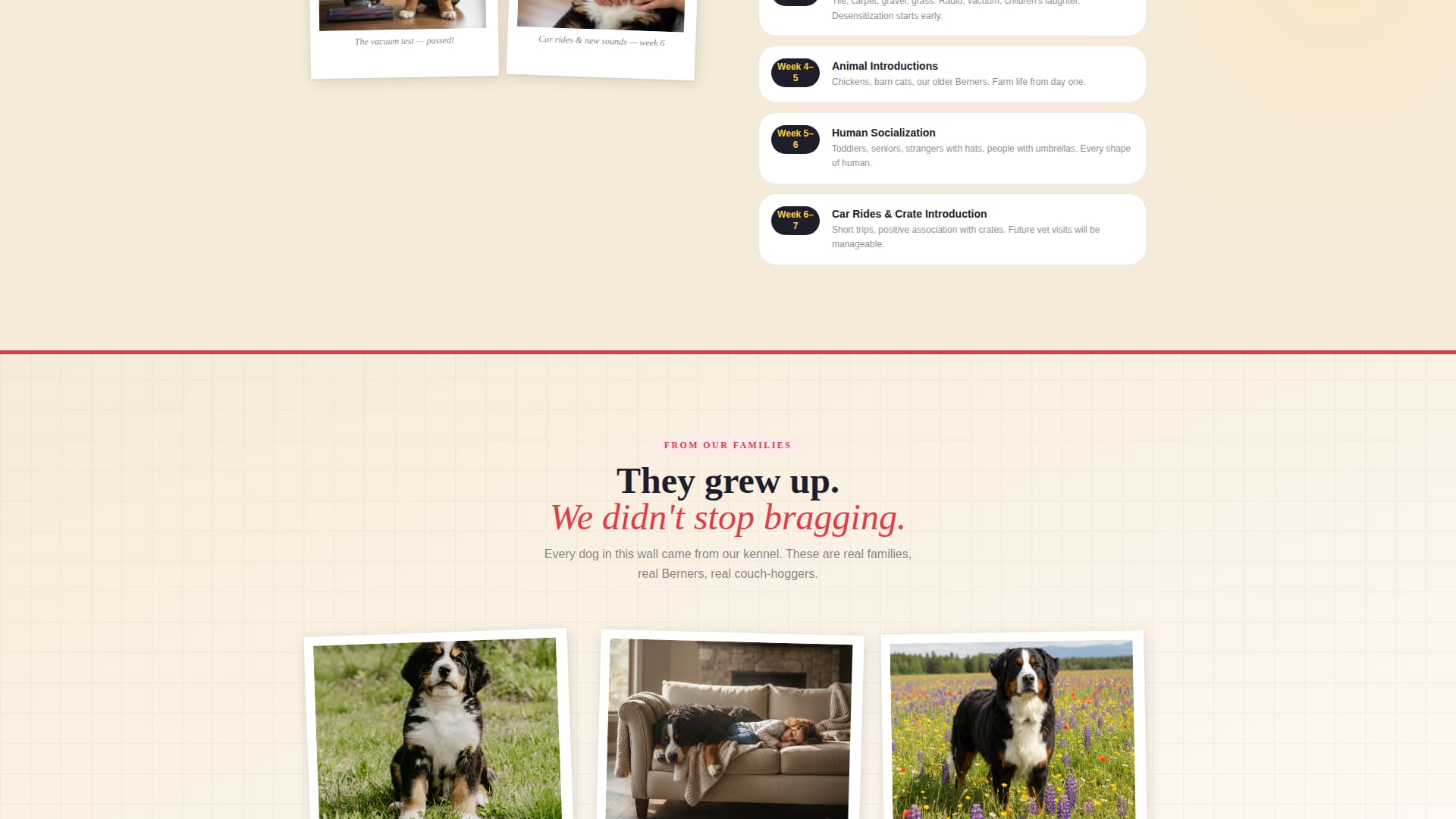 Dog Specialist Pre-Launch Website Template