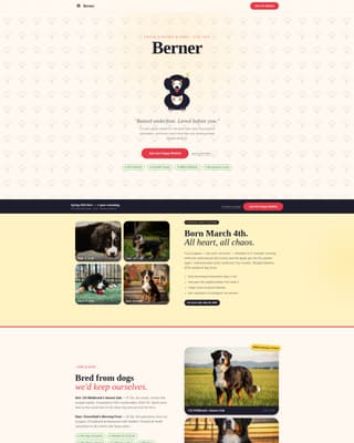 Dog Specialist Pre-Launch Website Template