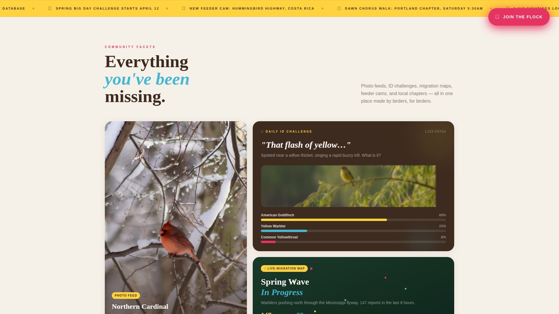 Flock - Vibrant Birding Landing Page Template