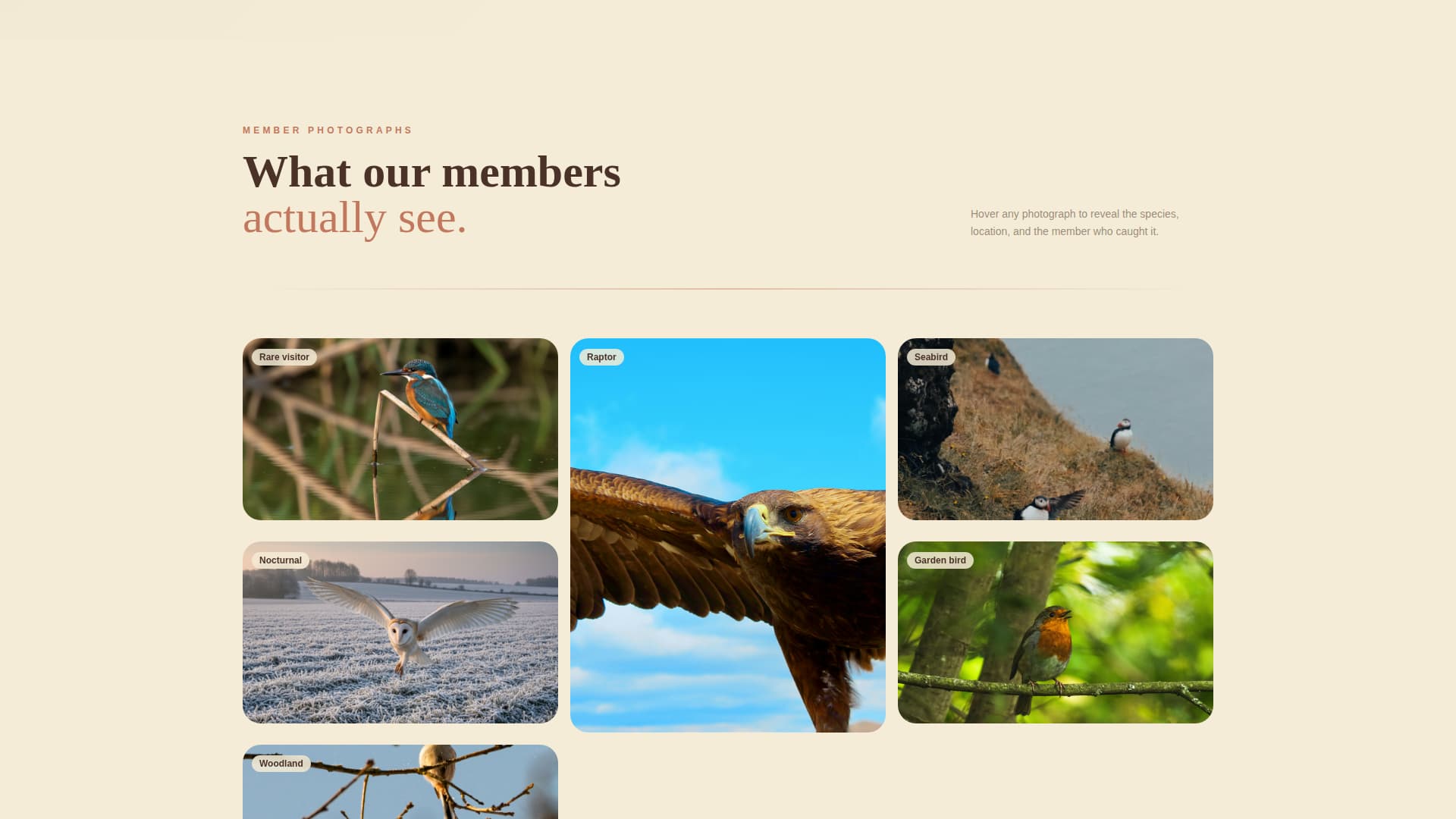 Wildlife & Conservation Appointment Booking Website Template