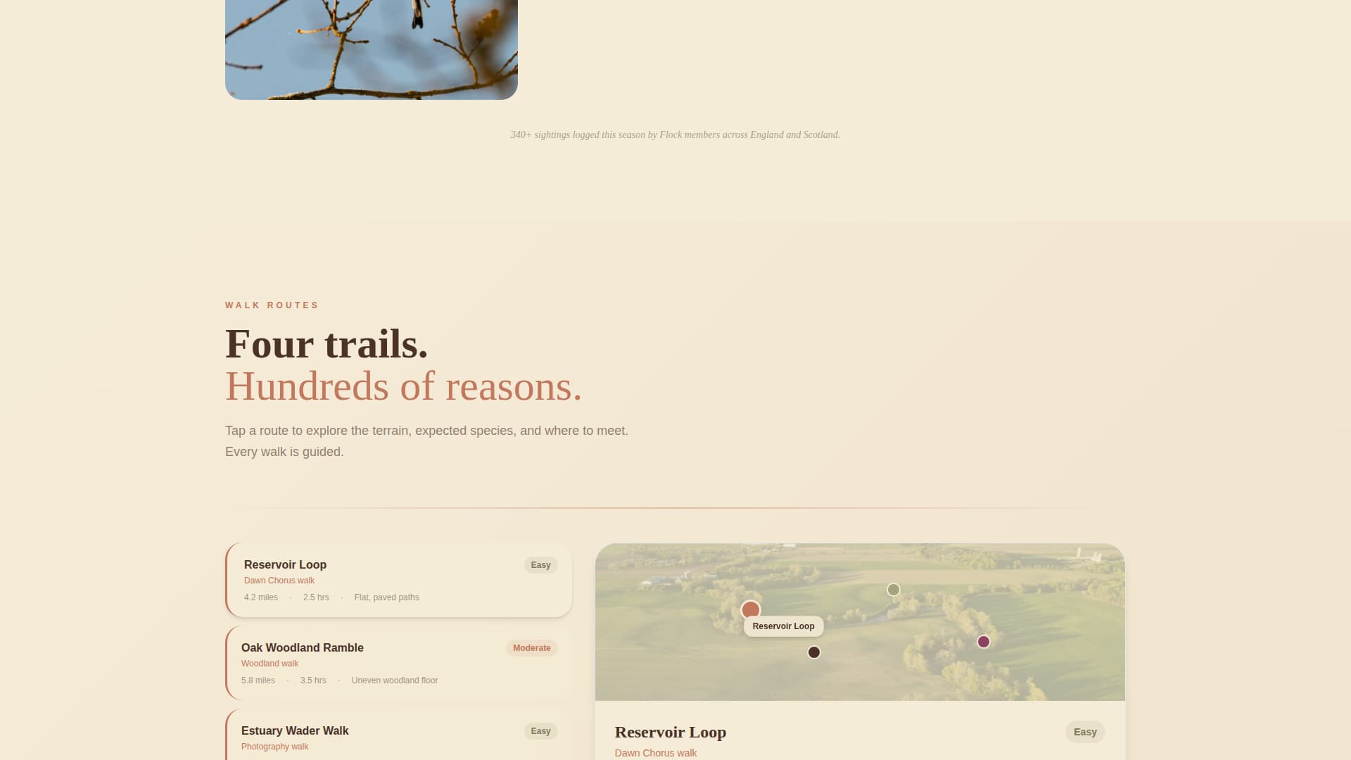 Wildlife & Conservation Appointment Booking Website Template