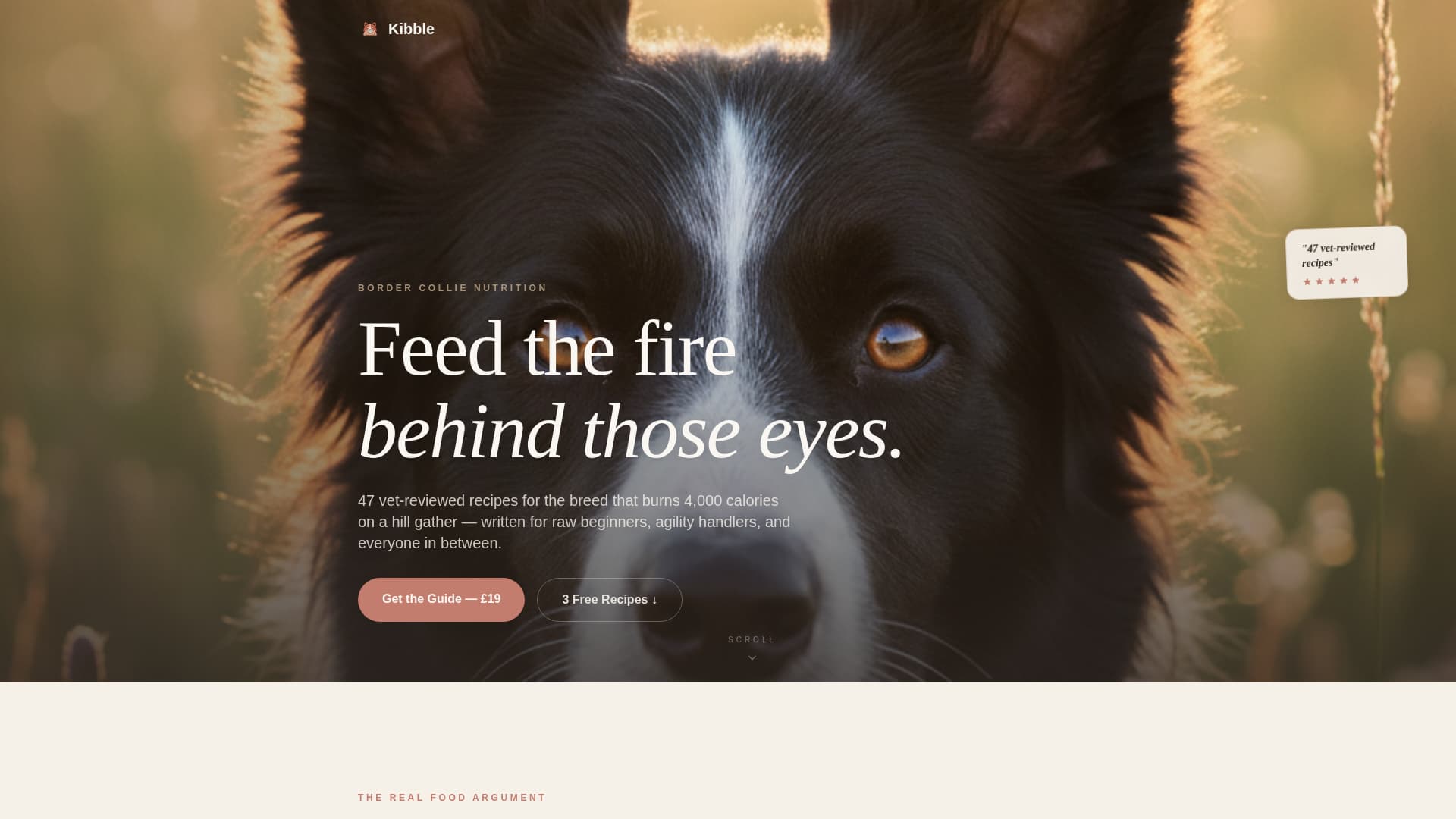Dog Online Professional Website Template