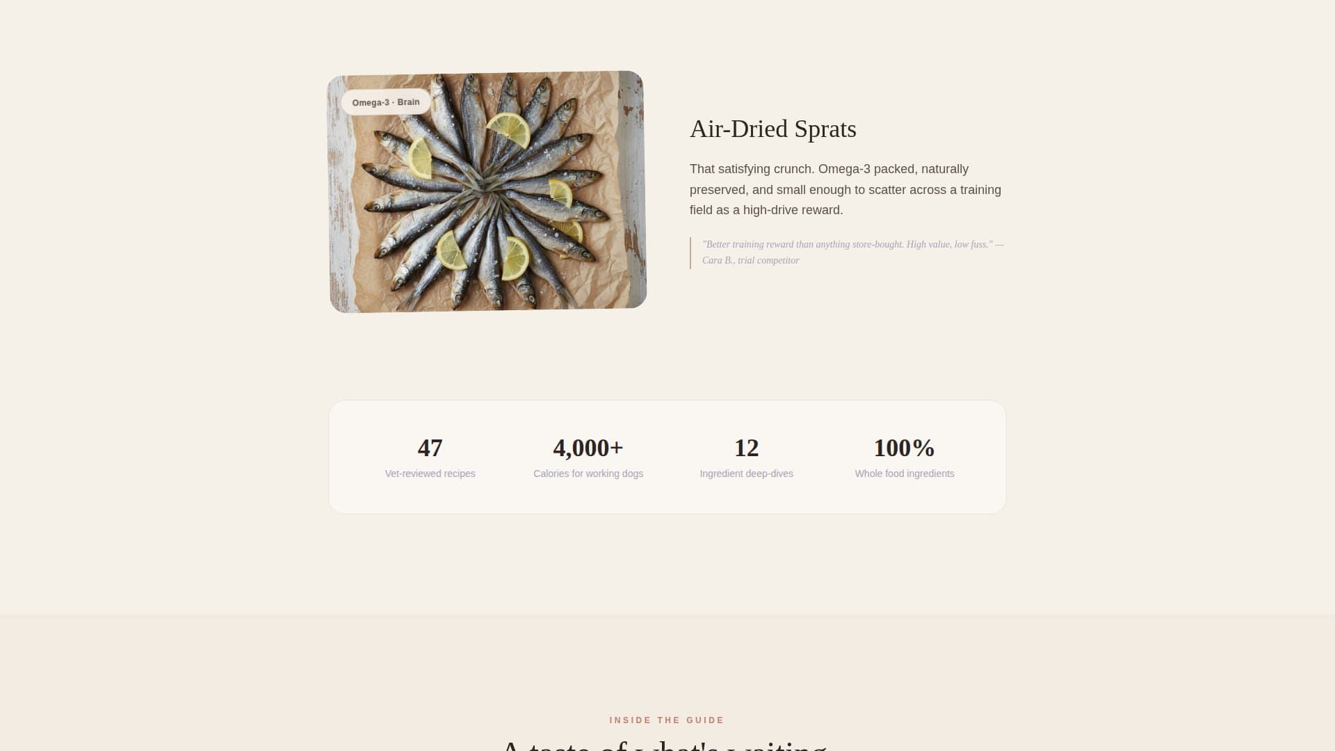 Dog Online Professional Website Template