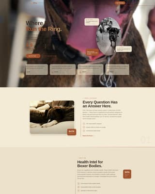 Dog Reviews Website Template