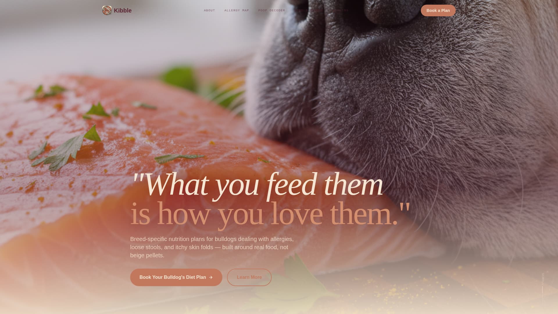 Dog Online Booking Website Template