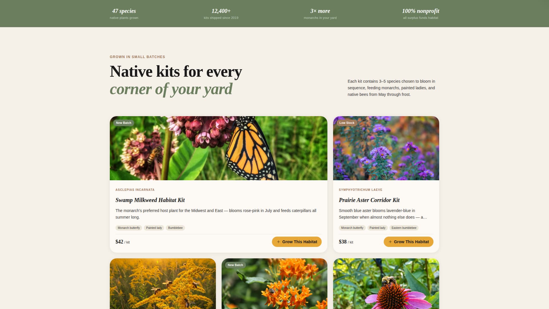 Specialist Wildlife & Conservation Portfolio & Case Study Website Template