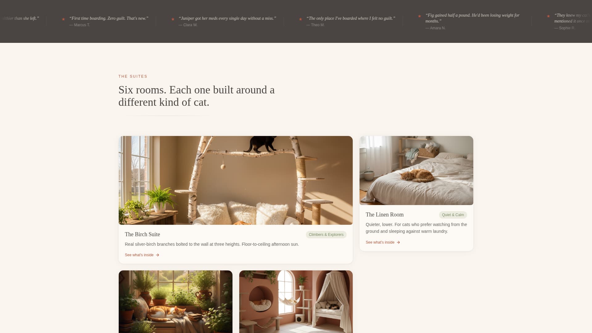 Pet Boarding & Daycare Reviews & Social Proof Website Template