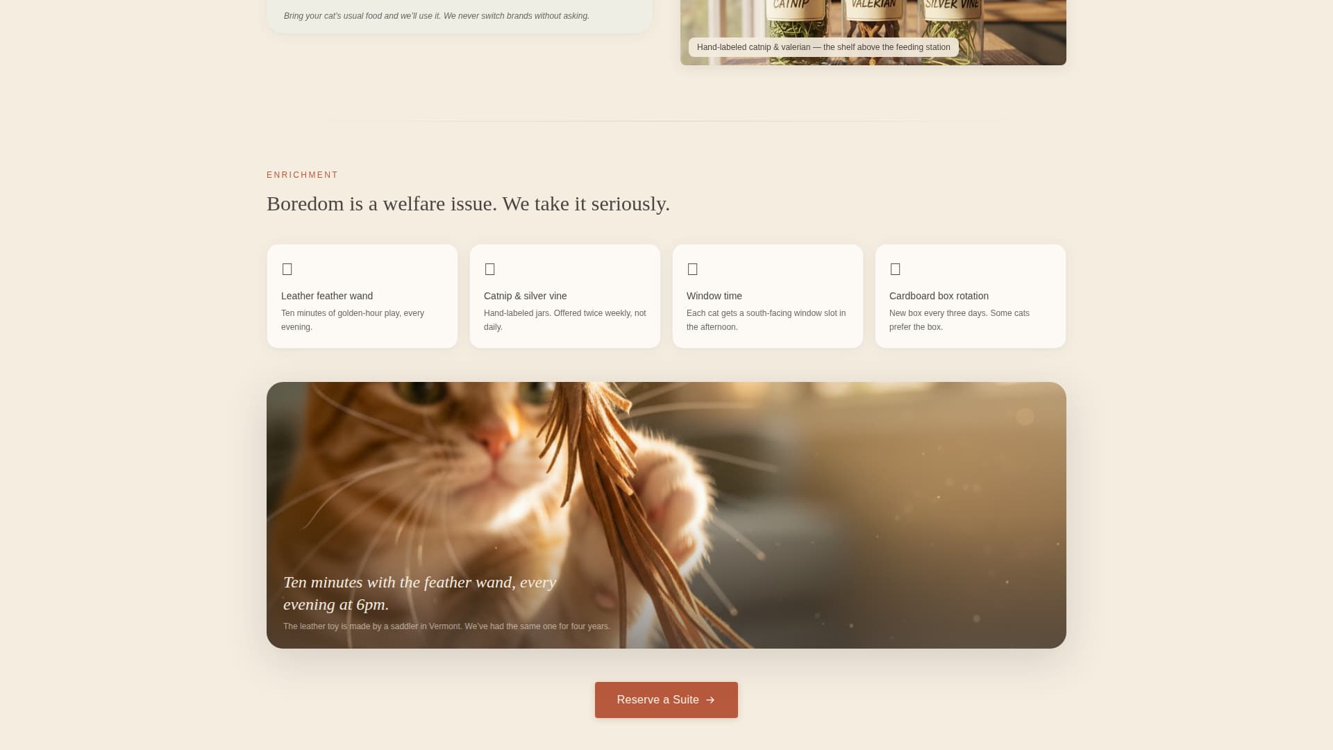 Pet Boarding & Daycare Reviews & Social Proof Website Template