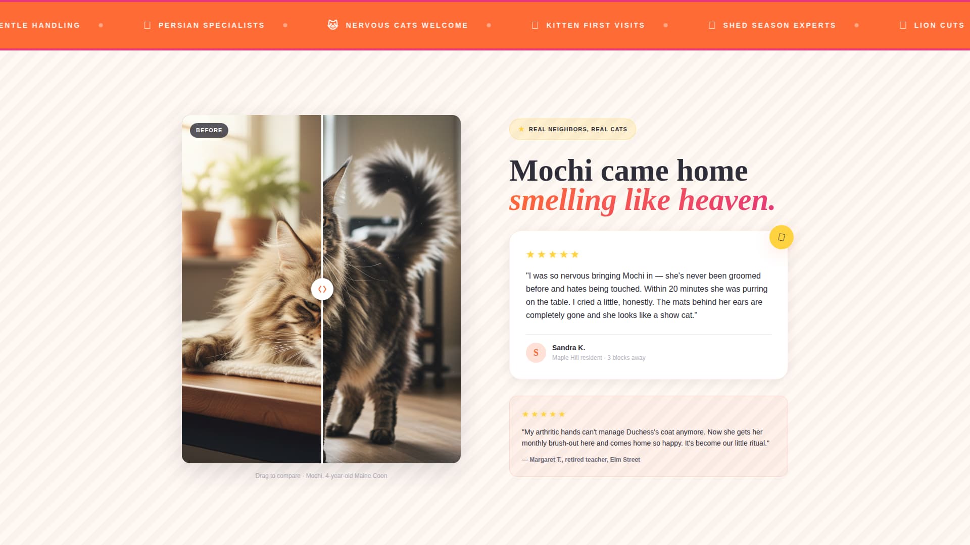 Purr - Cozy Catgrooming Landing Page Template