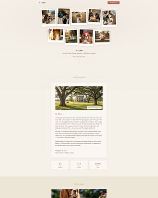 Dog Professional Website Template