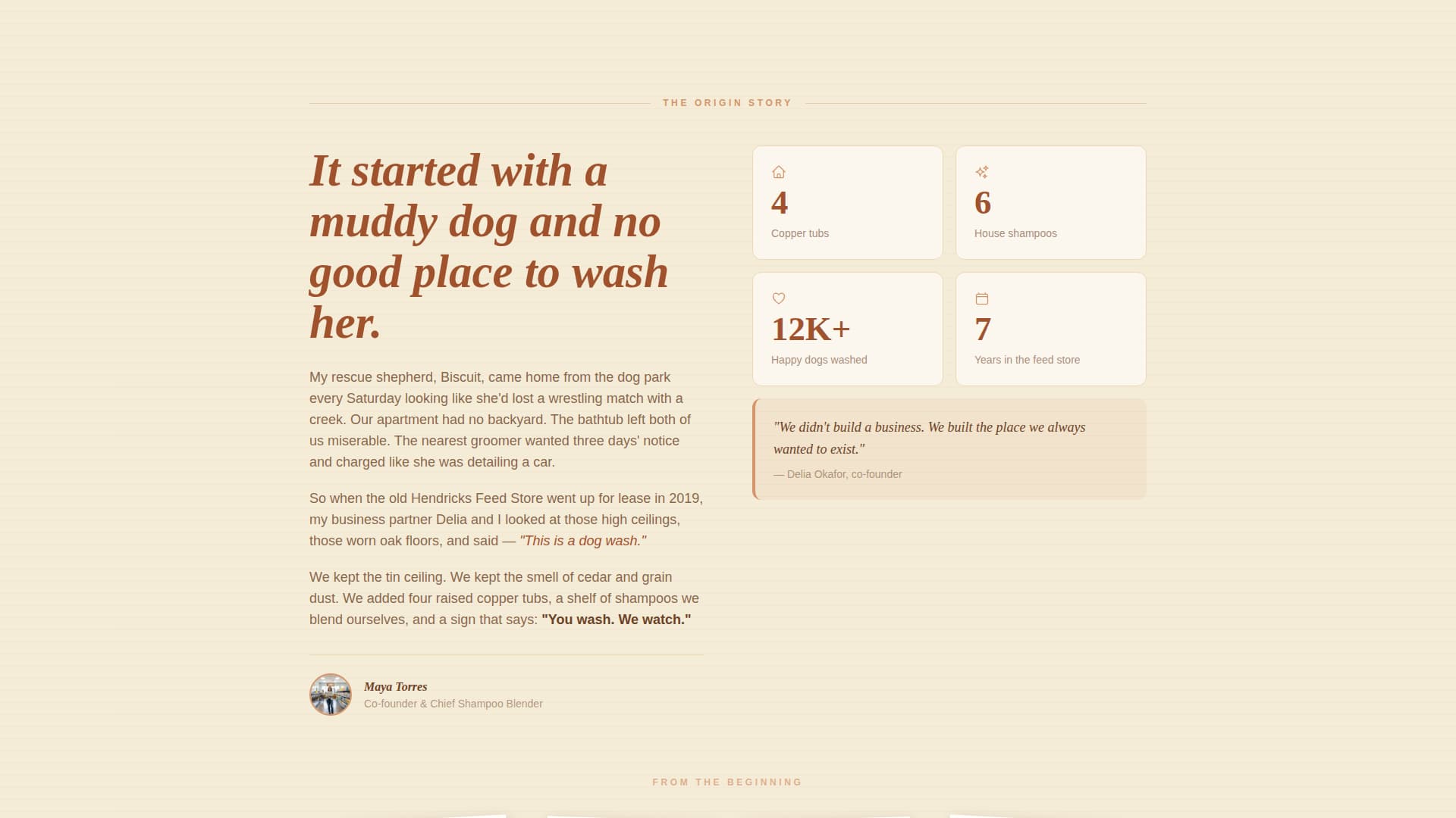 Pet Grooming & Spa Booking Website Template