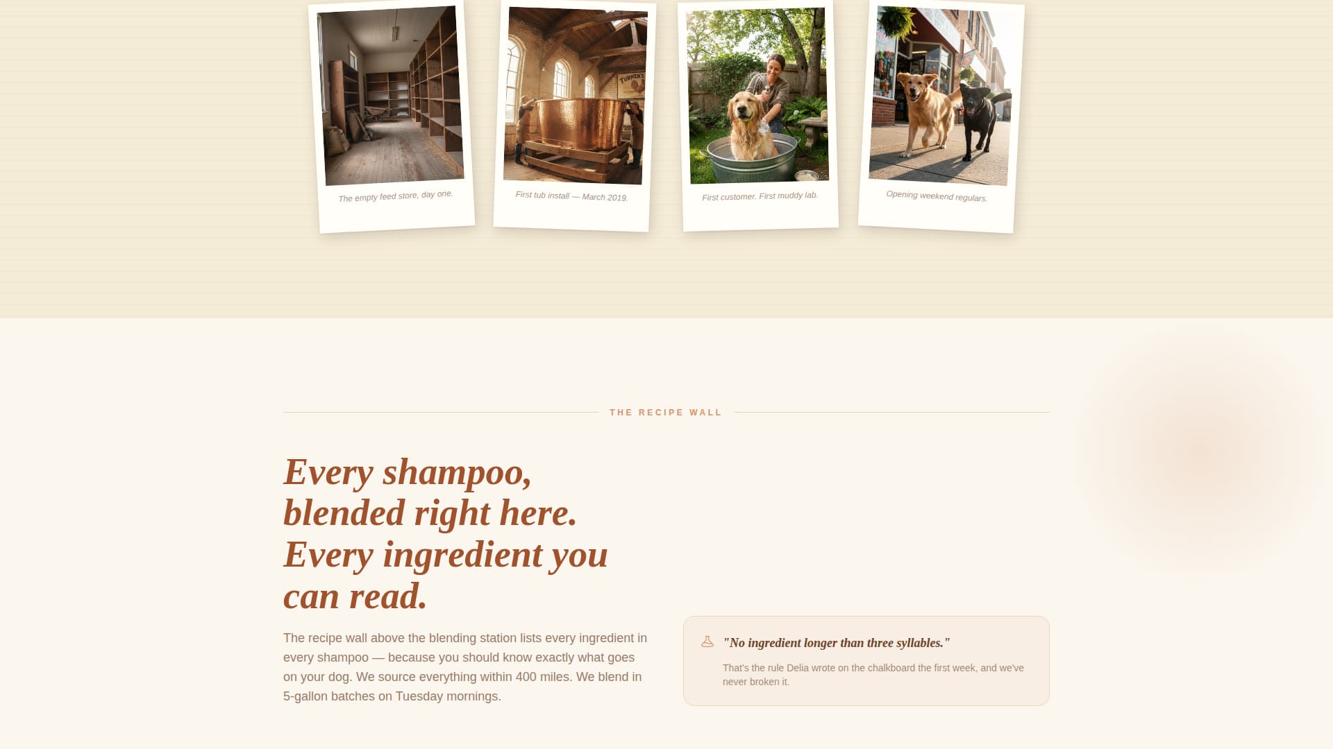 Pet Grooming & Spa Booking Website Template