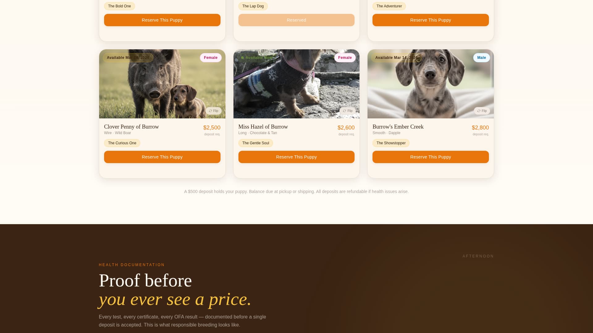 Dog Booking Website Template