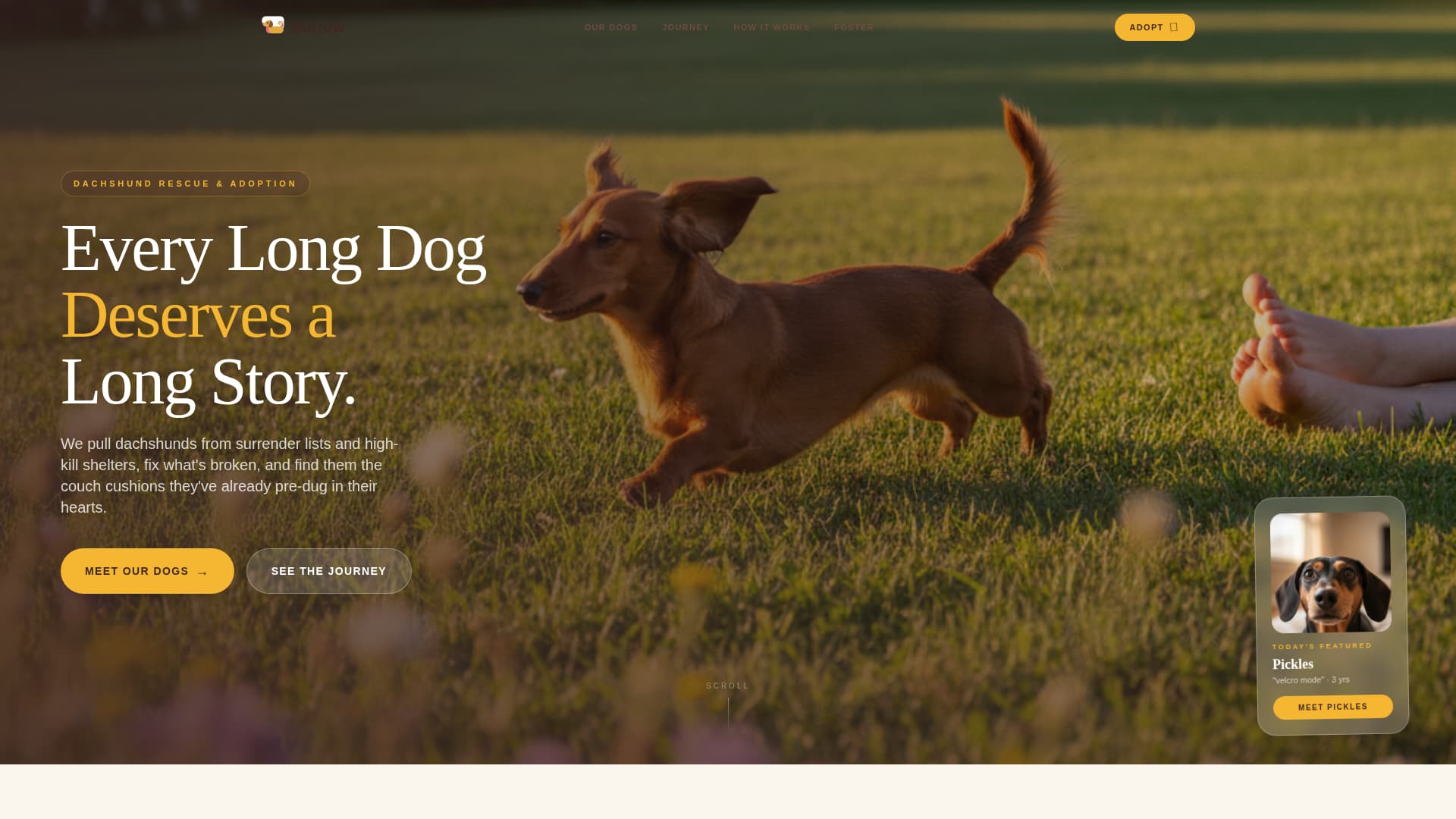 Dog Professional Website Template