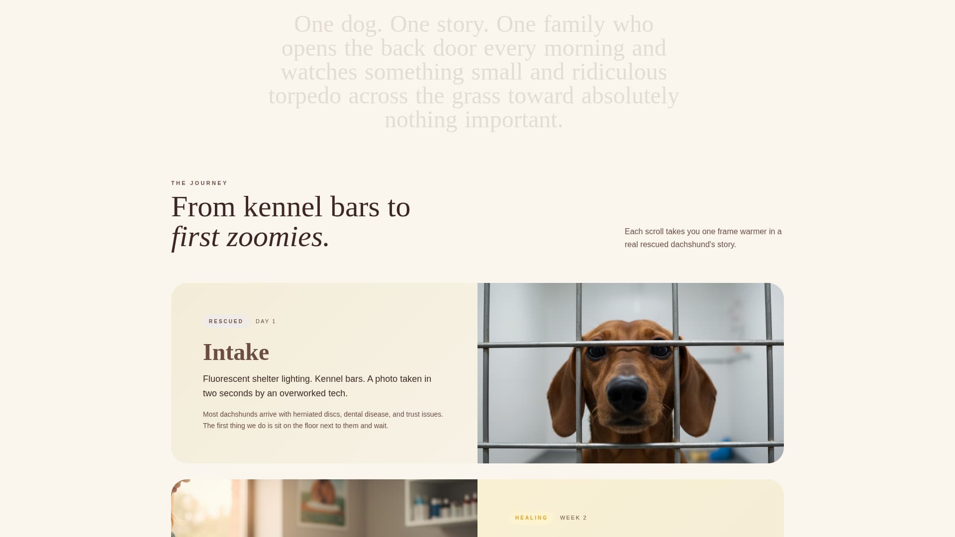 Dog Professional Website Template