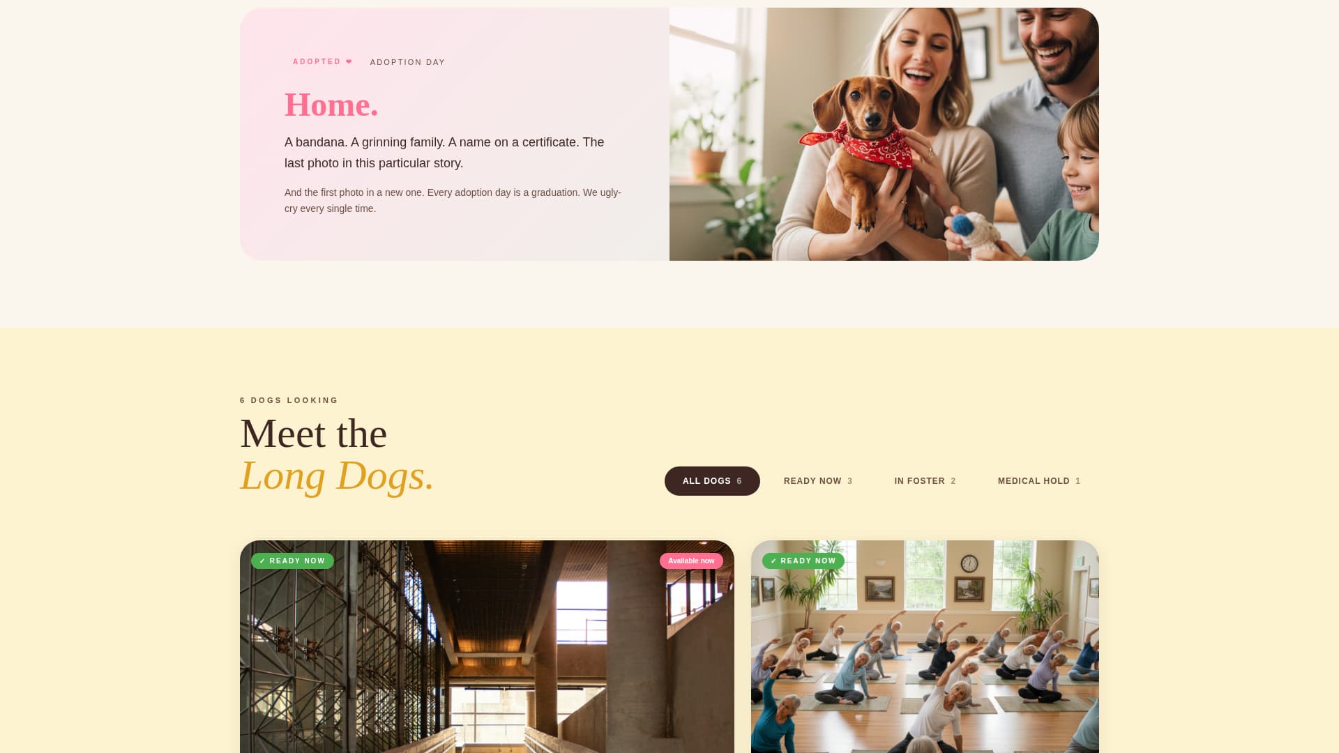 Dog Professional Website Template