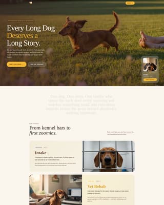 Dog Professional Website Template