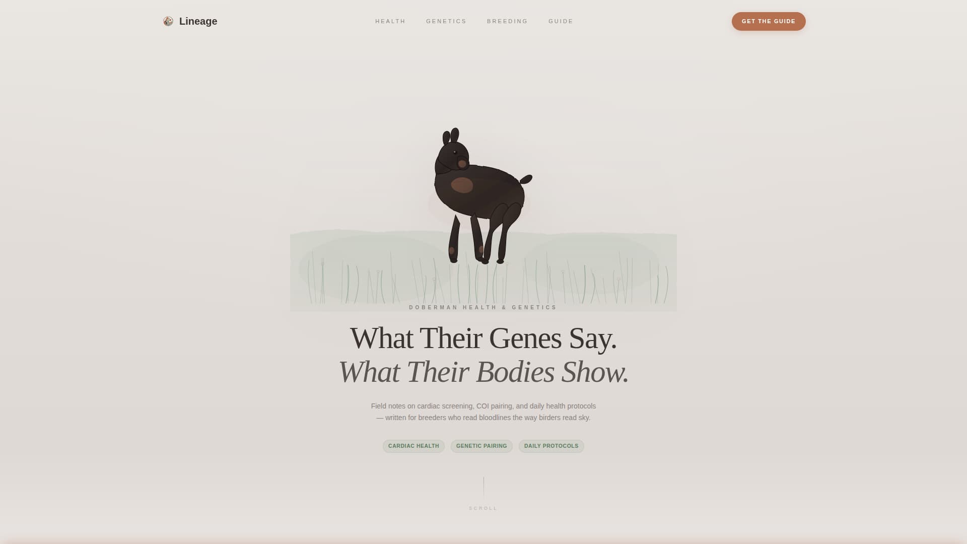 Doberman Services Blog & Content Website Template
