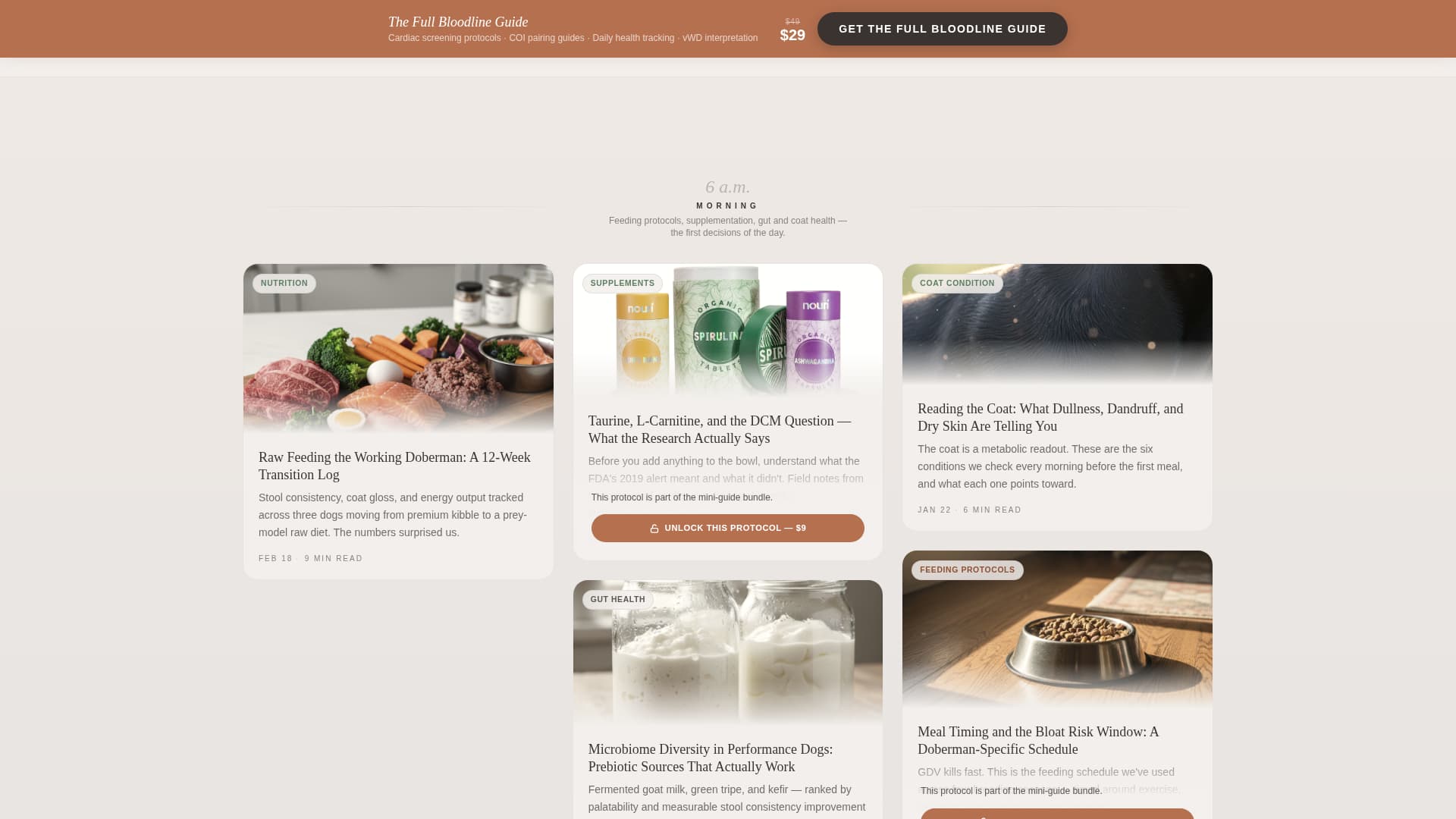 Doberman Services Blog & Content Website Template