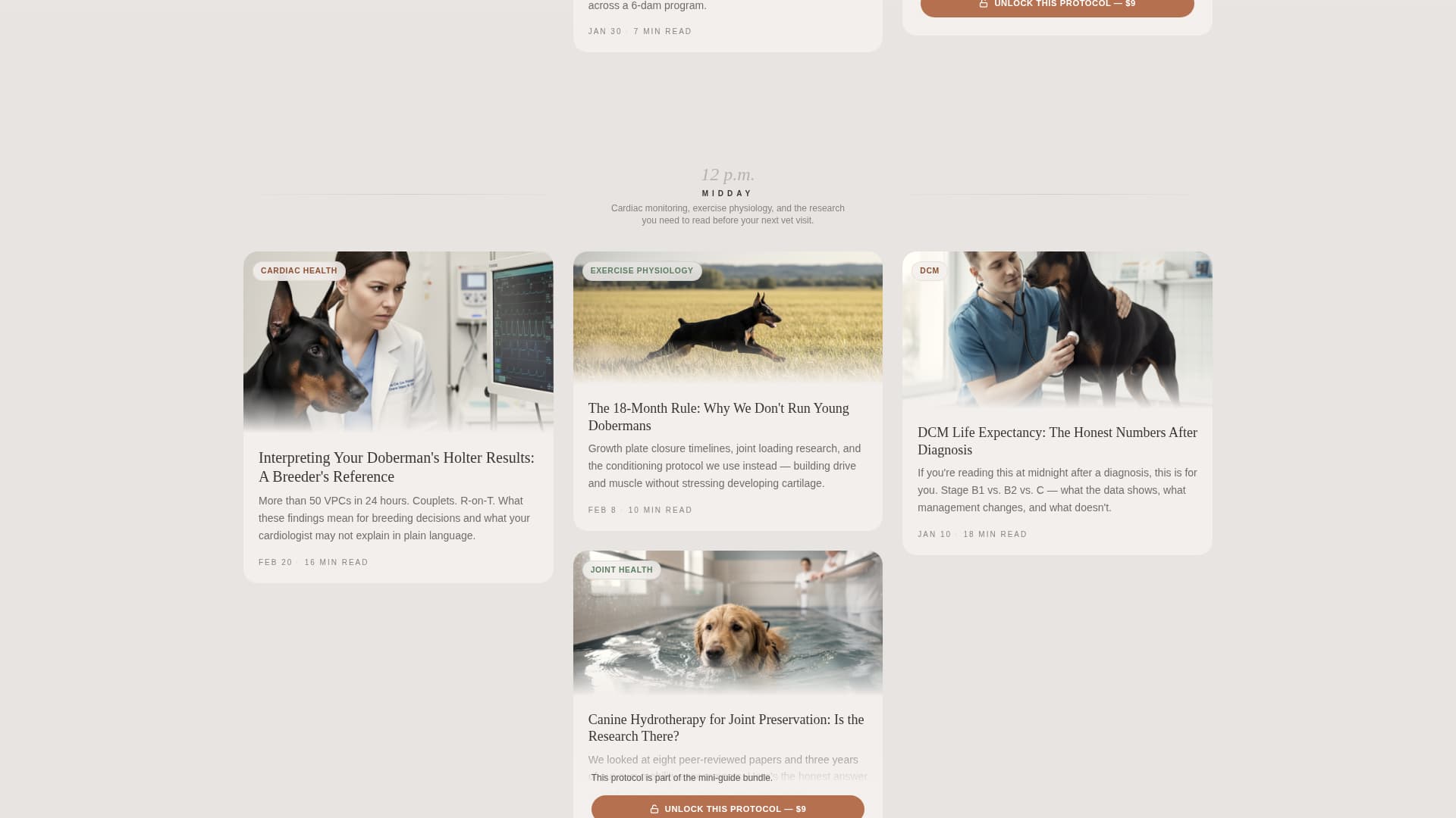 Doberman Services Blog & Content Website Template