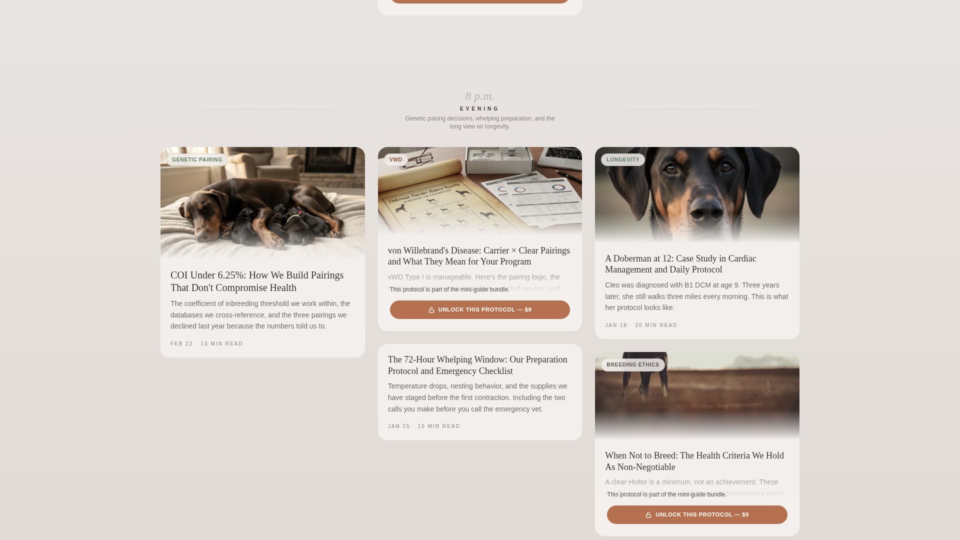 Doberman Services Blog & Content Website Template