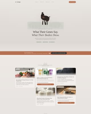 Doberman Services Blog & Content Website Template