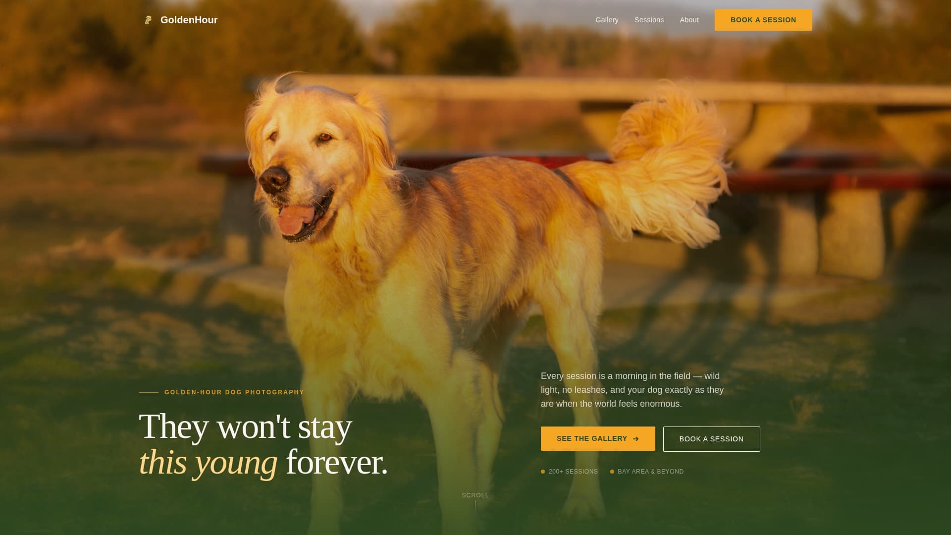 Dog Booking Website Template