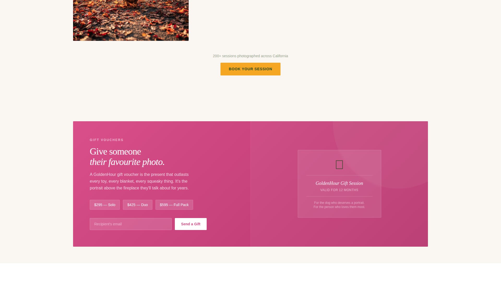 Dog Booking Website Template