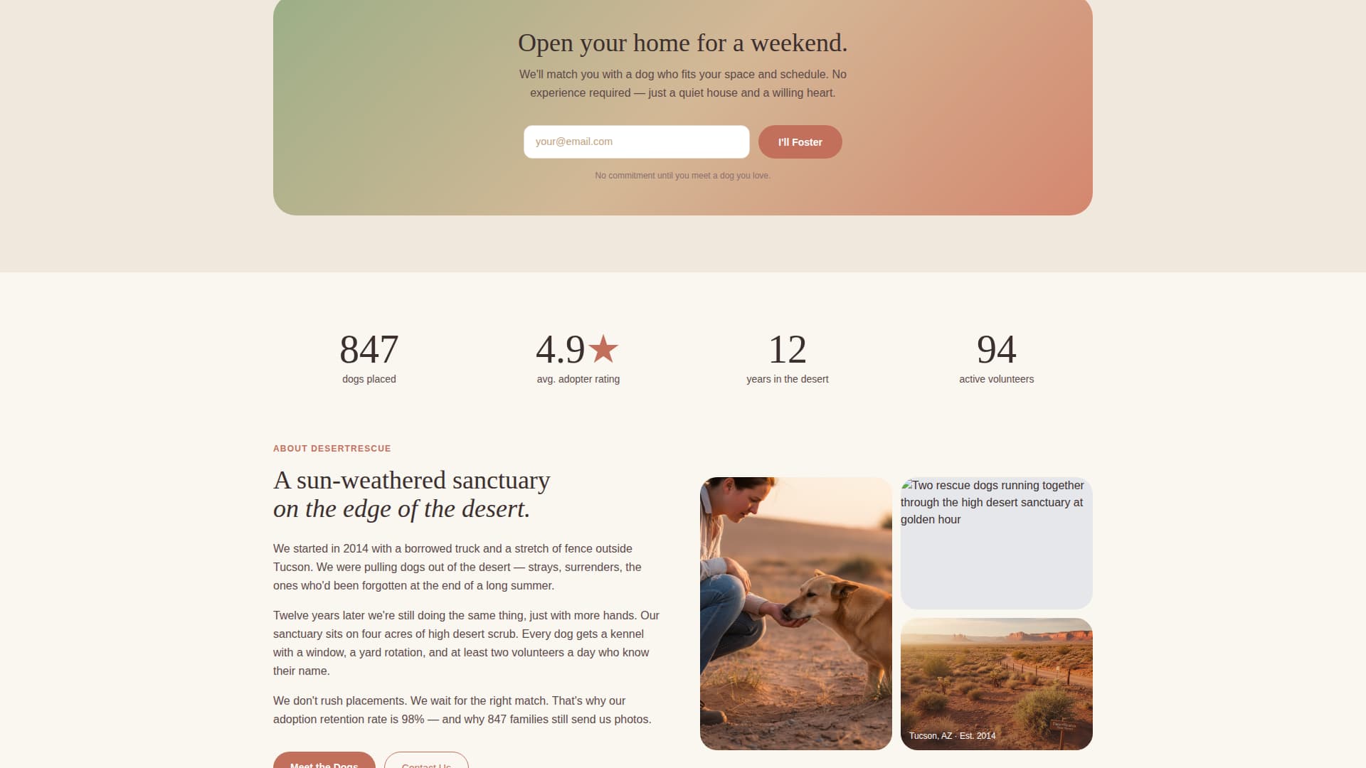 Rescue - Heartfelt Dogrescue Landing Page Template