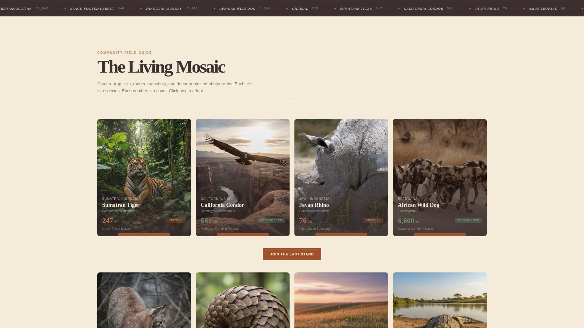 Wildlife & Conservation Portfolio & Case Study Website Template