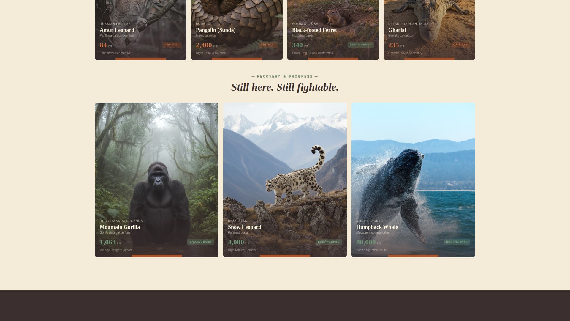 Wildlife & Conservation Portfolio & Case Study Website Template
