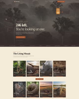 Wildlife & Conservation Portfolio & Case Study Website Template