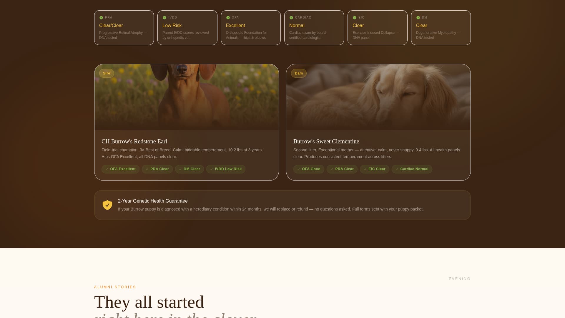 Canter - Vibrant Equine Landing Page Template