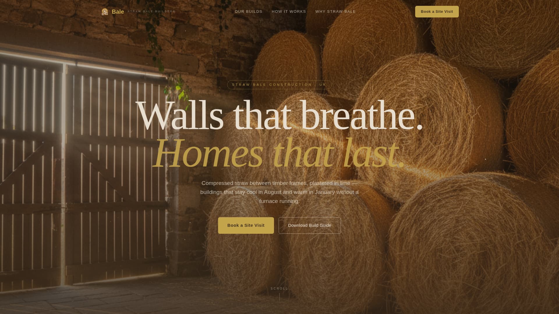 Local Specialty Construction Appointment Booking Website Template
