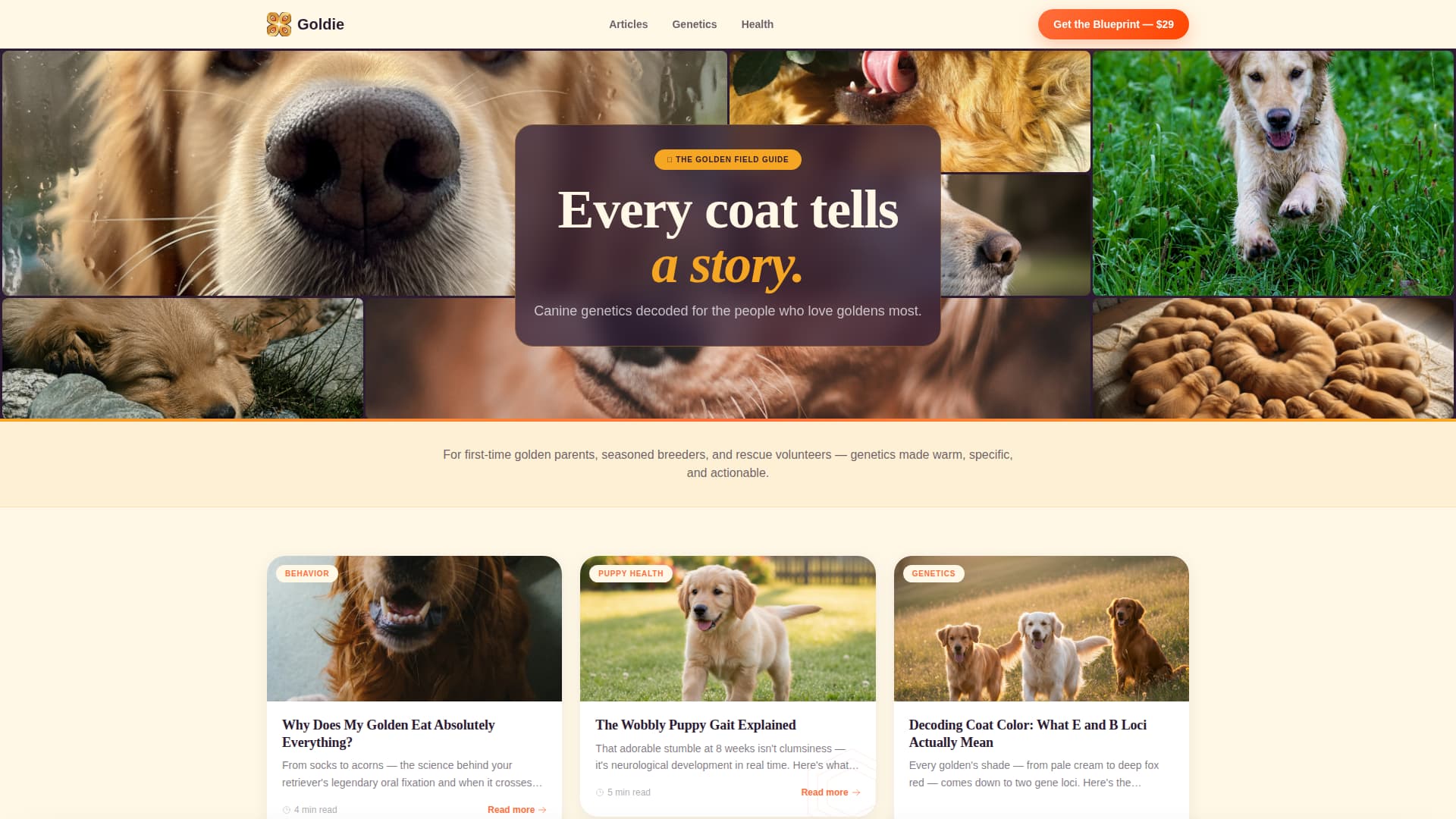 Dog Advanced Blog Website Template
